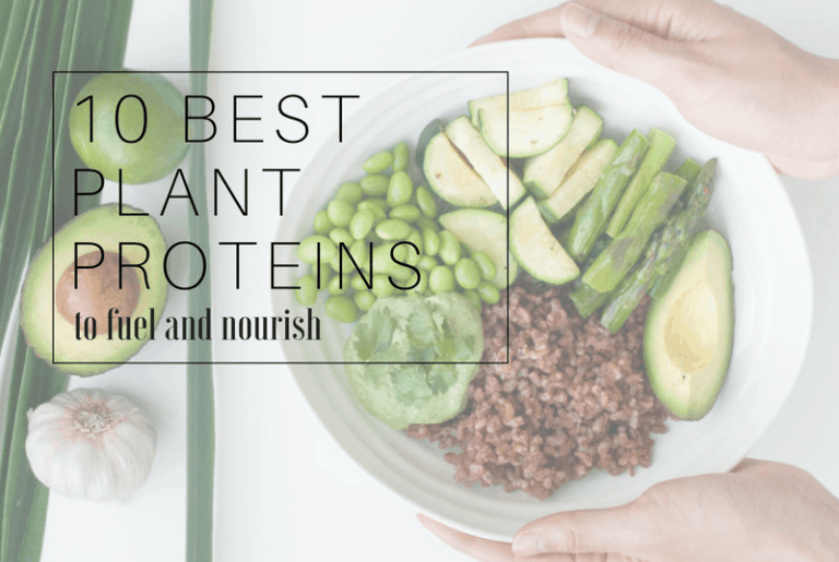 Best Plant Proteins to Fuel and Nourish.