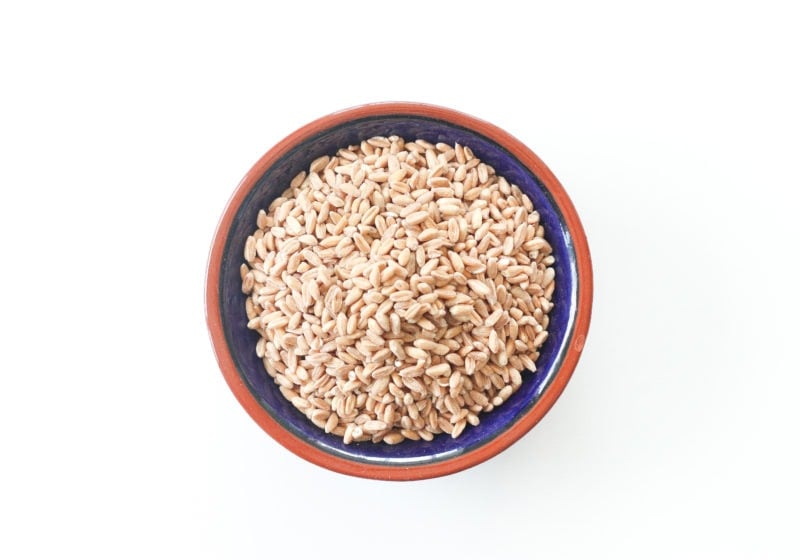Farro in a blue bowl with a brown trim.