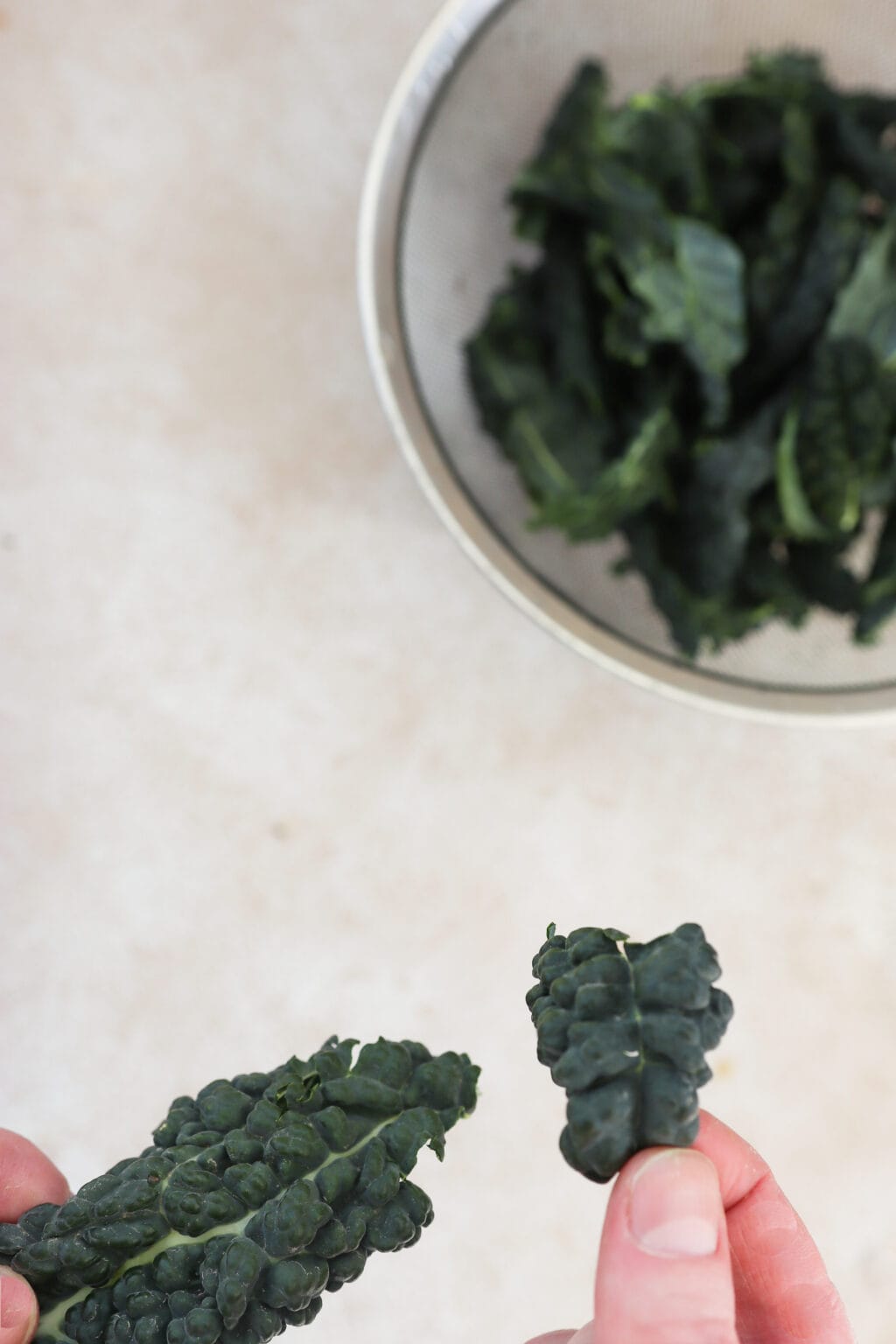 A hand is holding a torn piece of dino kale. In the background is a blurred image of a silver mesh strainer with more dino kale in it. 