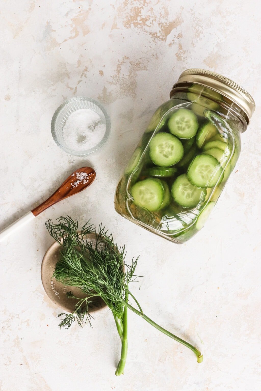 How to Make Apple Cider Vinegar Cucumber Pickles with Dill Lindsay Pleskot, RD