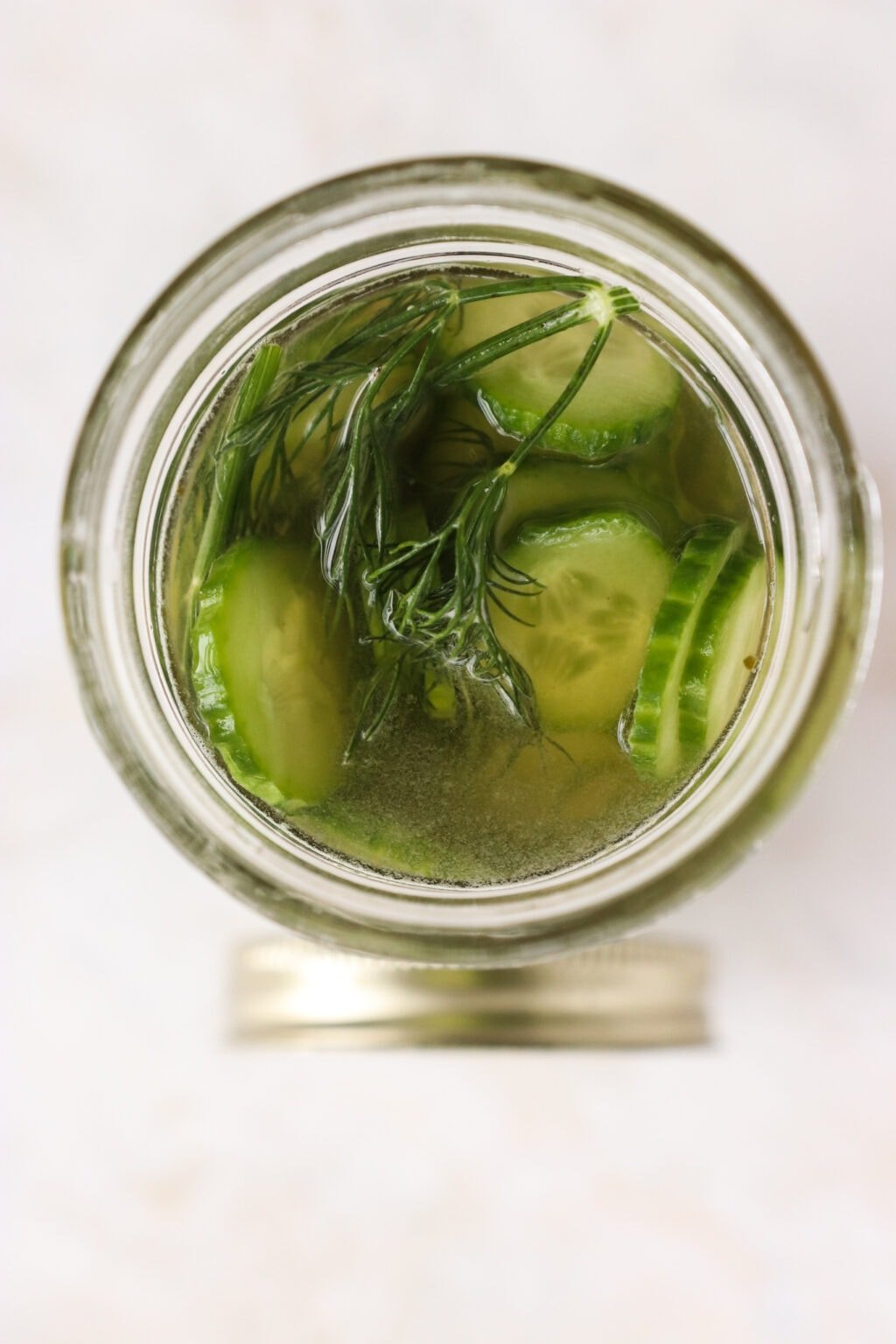 Apple Cider Vinegar Cucumber Pickles with Dill in a pickle jar