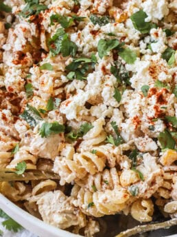 A close-up of a pasta salad made with rotini, shredded chicken, crumbled cheese, chopped cilantro, and sprinkled with paprika. The dish appears creamy and is served in a white bowl.
