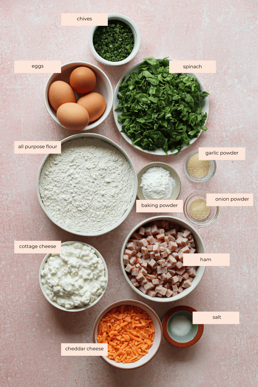 A flat lay of labeled bowls containing ingredients for protein biscuits: chives, eggs, chopped spinach, all-purpose flour, cottage cheese, cheddar cheese, diced ham, salt, baking powder, garlic powder, and onion powder on a pink surface.