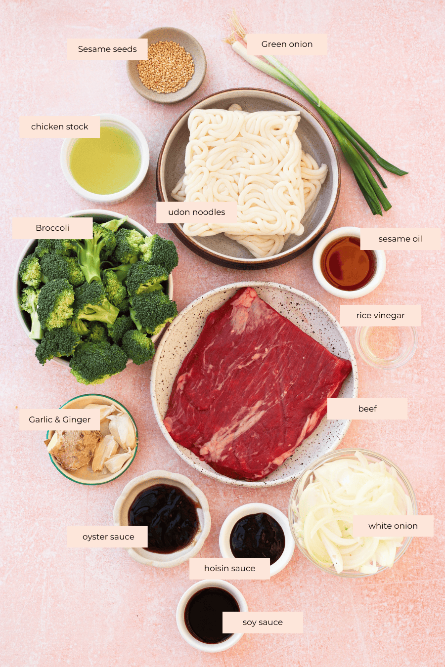 A flat lay of labeled ingredients for beef udon: sesame seeds, green onion, chicken stock, udon noodles, sesame oil, rice vinegar, broccoli, garlic & ginger, beef, white onion, oyster sauce, hoisin sauce, and soy sauce on a pink surface.