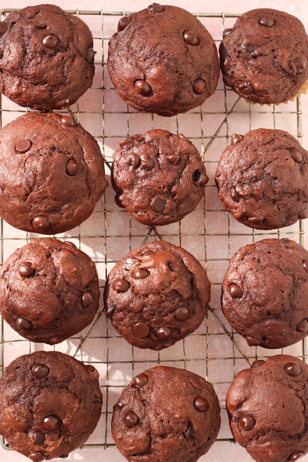 Twelve chocolate muffins with chocolate chips are arranged in rows on a cooling rack, viewed from above. The muffins are rich brown and the rack sits on a light surface.