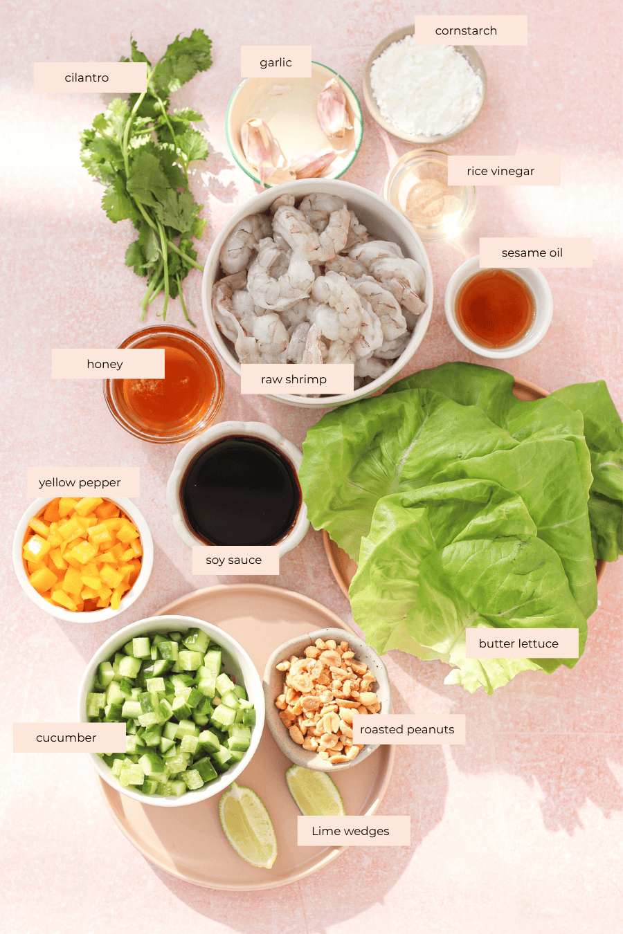 An overhead view of labeled ingredients for shrimp lettuce wraps, including cilantro, garlic, cornstarch, rice vinegar, sesame oil, raw shrimp, honey, yellow pepper, soy sauce, butter lettuce, cucumber, roasted peanuts, and lime wedges.