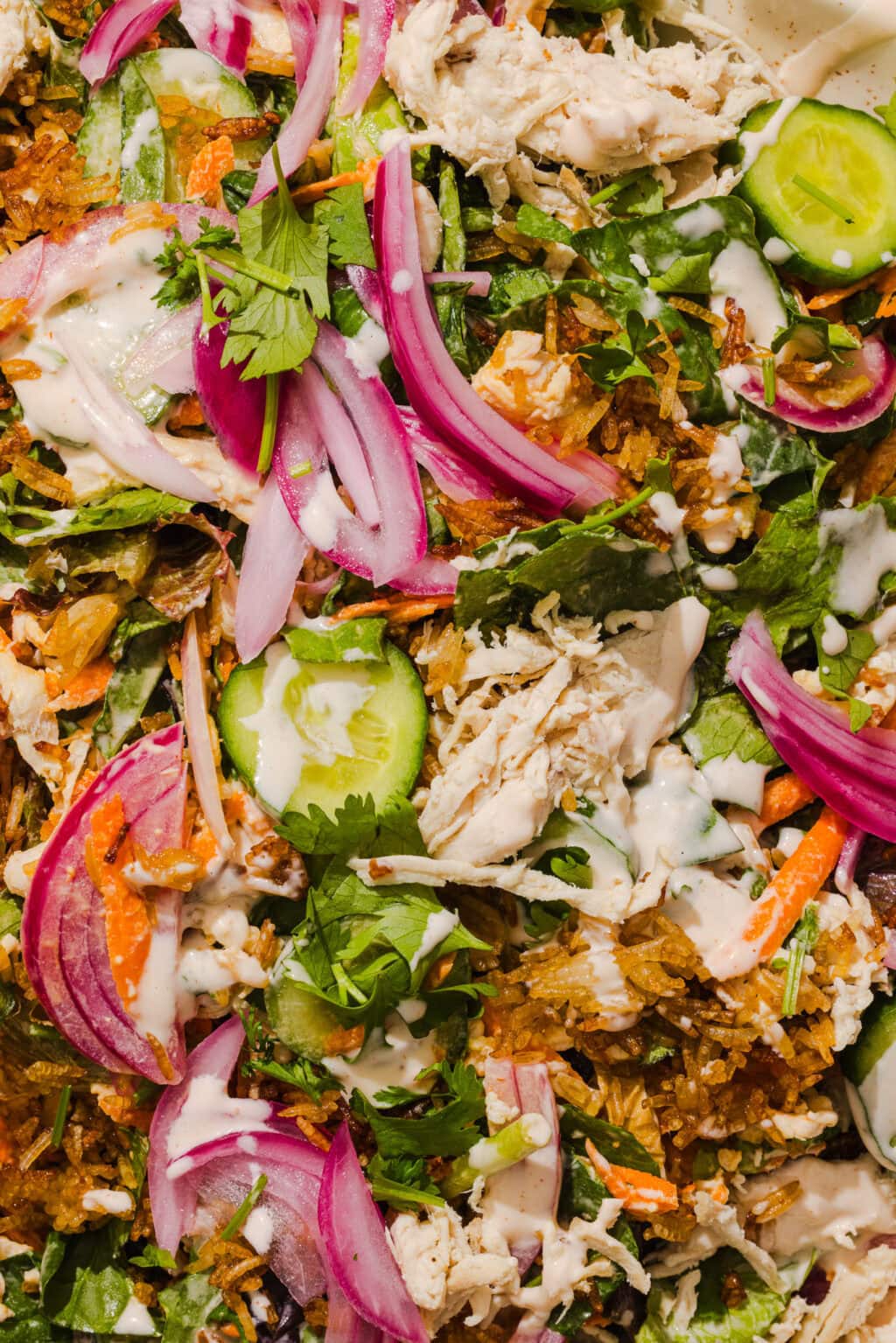 A close-up of a salad with shredded chicken, sliced cucumbers, pickled red onions, carrots, cilantro, greens, crispy fried rice, and a creamy white dressing drizzled on top.
