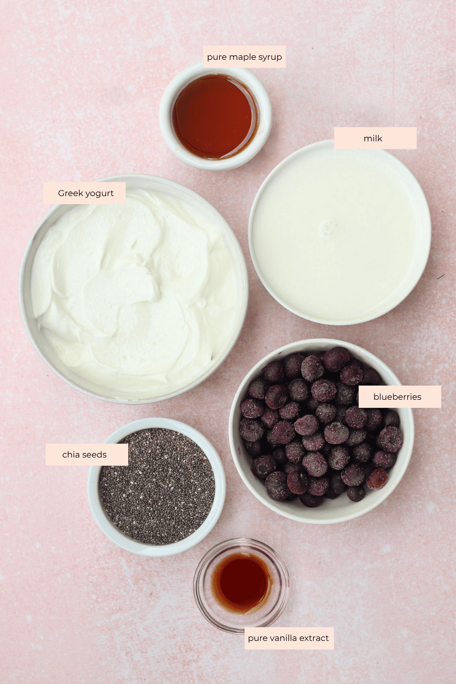 Five bowls on a pink surface contain labeled ingredients: pure maple syrup, milk, Greek yogurt, blueberries, chia seeds, and pure vanilla extract.